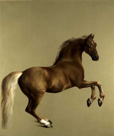 George Stubbs Whistlejacket